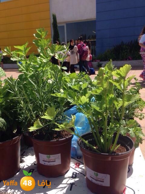 youm tarfehy akademy (21).JPG